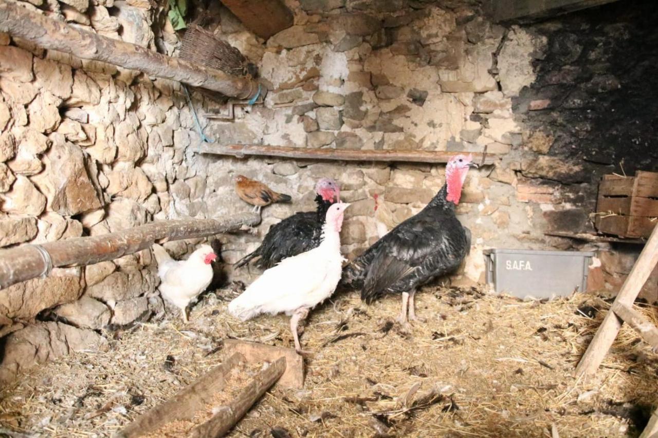 Casa Rural Amador Villarroya de los Pinares Esterno foto